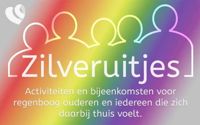 Banner Zilveruitjes v3