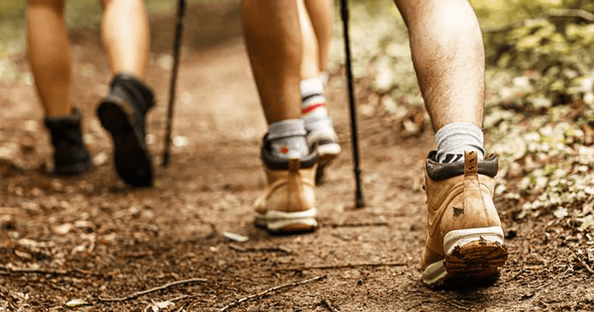 Wandelgroep
